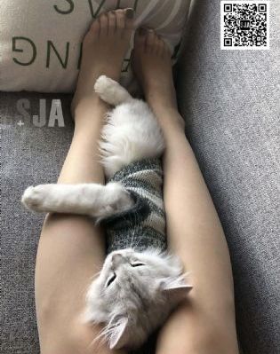 西西人体444WWW大胆无码视_BD电视剧在线观看